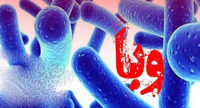  صحبت‌های مهم مدیر وزارت بهداشت درباره شیوع بیماری وبا در ایران