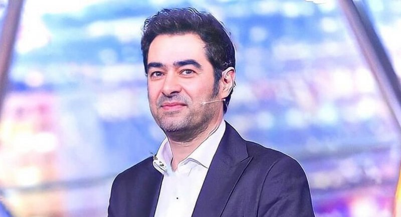 زن سابق شهاب حسینی در آمریکا مدلینگ شد + عکس
