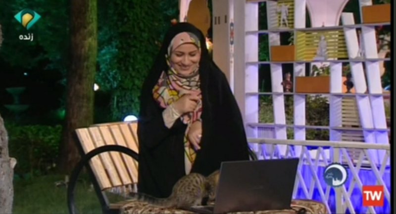 حضور گربه ناخوانده وسط برنامه زنده و ترس خانم مجری! + ویدیو