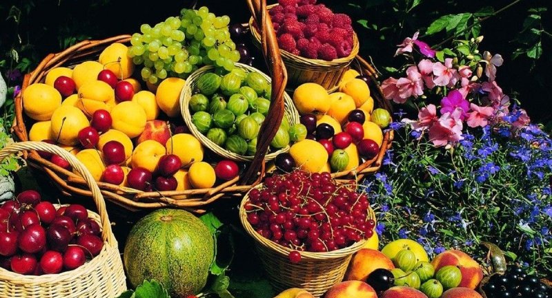 جدیدترین قیمت میوه در بازار /قیمت آناناس در آستانه میلیونی شدن!