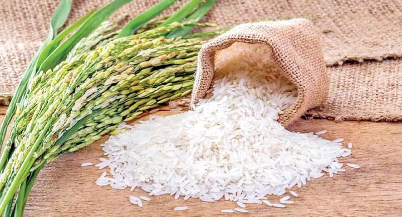 خبری خوب برای بازار برنج / قیمت انواع برنج ایرانی