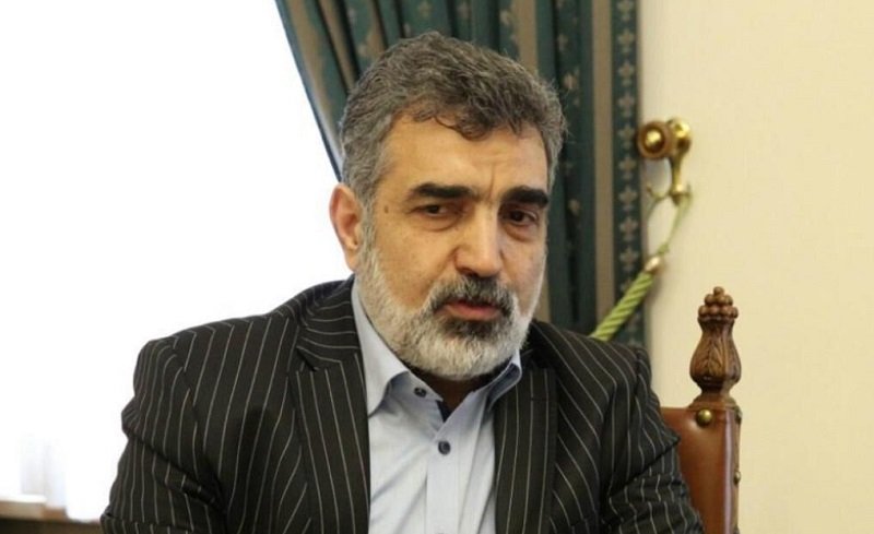 کمالوندی: مشغول گفت وگو در مورد پادمان هستیم