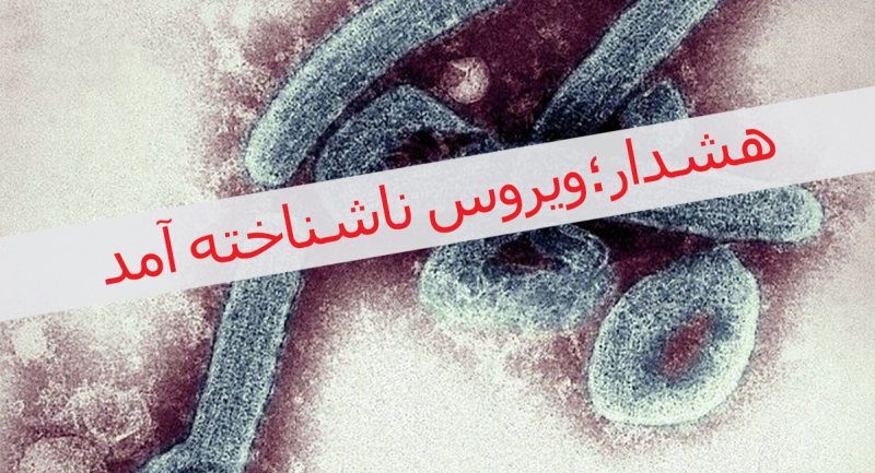 هشدار فوری؛ ویروس ناشناخته آمد / بلای جدید از چین ظهور کرد
