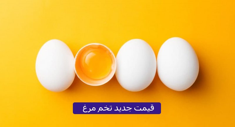 هر کیلو تخم‌مرغ مساوی با ۱۵هزار تومان زیان تولیدکننده + قیمت جدید تخم مرغ
