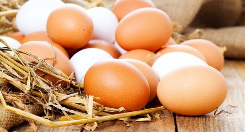 قیمت مصوب تخم مرغ در شهریور ماه اصلاح می‌ شود + اخرین قیمت