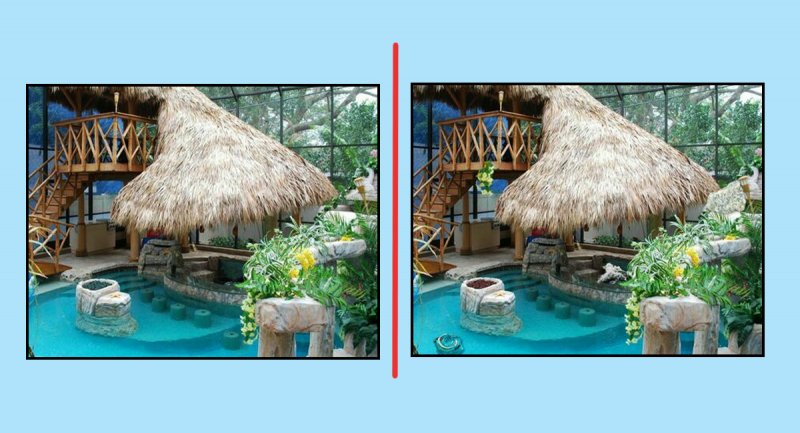 تست هوش: 10 اختلاف بین این دو تصویر زیبا وجود دارد! پیدا کنید؟ + جواب