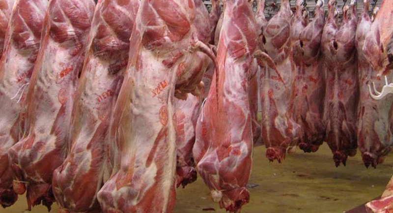 معاون وزیر کشاورزی تایید کرد: فروش گوشت اسب و الاغ در بازار