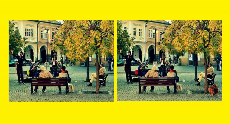 تست هوش: 5 اختلاف بین این دو تصویر پاییزی وجود دارد! پیدا کنید؟ + جواب