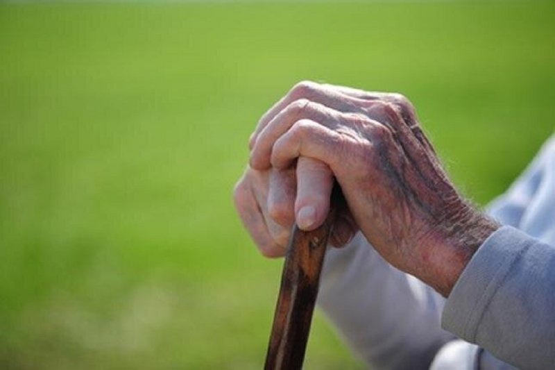  مسن ترین کشور جهان در سال 2024
