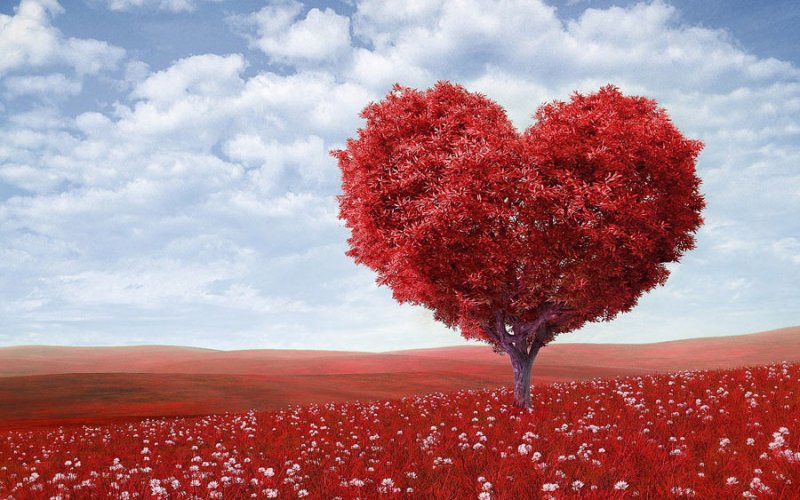 اگر این نشانه ها را دارید یعنی عاشق شده اید