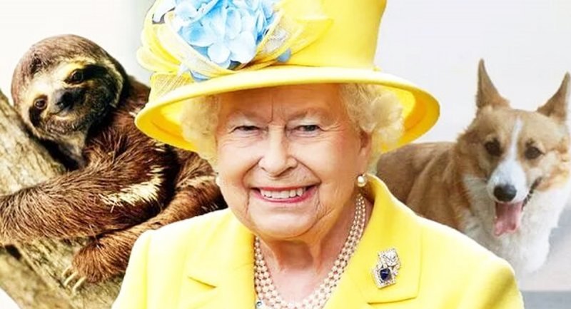 حیوانات عجیب و غریبی که ملکه انگلیس داشت؛ از خفاش ها گرفته تا تنبل! + تصاویر