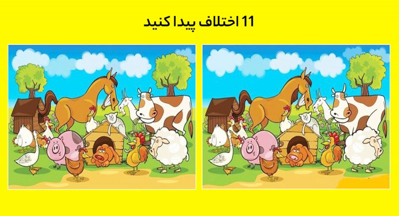تست بینایی؛ 11 اختلاف میان این دو تصویر مزرعه حیوانات پیدا کنید؟ + پاسخ