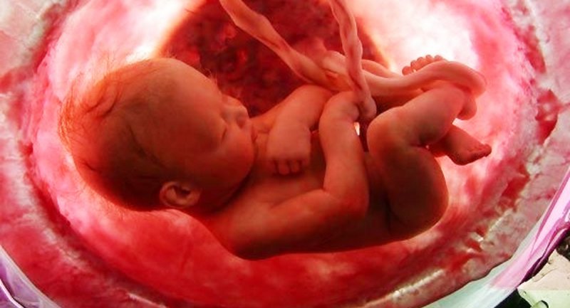 ویدیویی شگفت انگیز از واکنش جنین در رحم مادر به مزه و بو