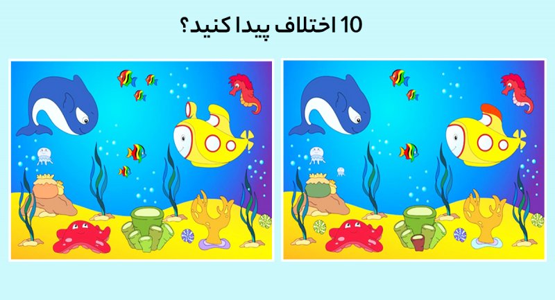 تست هوش؛ 10 اختلاف میان این دو تصویر زیبای دریایی پیدا کنید؟+ پاسخ