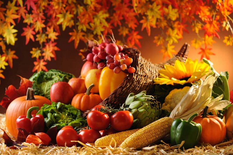 در پاییز با خوردن این مواد غذایی سالم بمانید