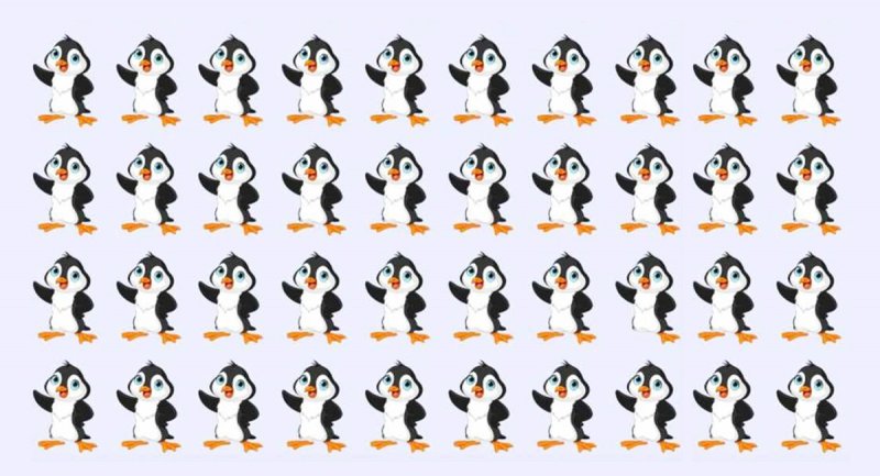 تست بینایی؛ زیر 10 ثانیه پنگوئن متفاوت را پیدا کنید؟ + پاسخ