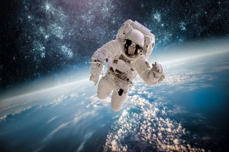 اولین مسافر تور لاکچری ایلان ماسک به فضا !+ عکس