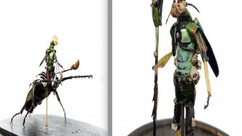 ساخت مجسمه‌های عجیب با استفاده از حشرات مرده +تصاویر