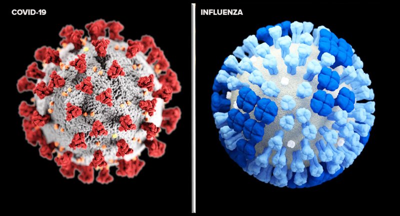 کرونا و آنفلوآنزا چه تفاوتی دارند؟
