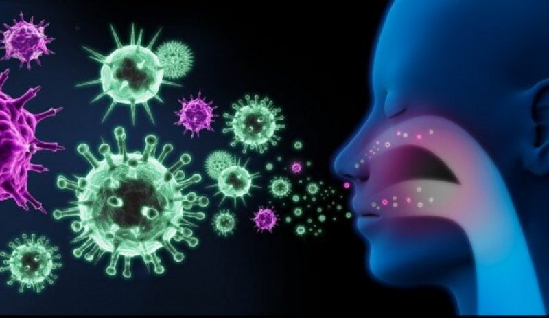  درباره  ویروس تنفسی «سین‌سیشیال» چه می‌دانید؟