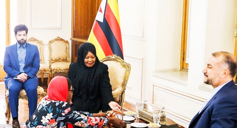 تصاویری از پوشش متفاوت زن رئیس جمهور زیمبابوه در دیدار با امیرعبداللهیان
