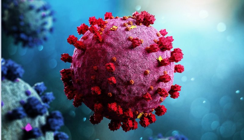 نظر نماینده سازمان بهداشت جهانی درمورد منشاء ویروس کرونا