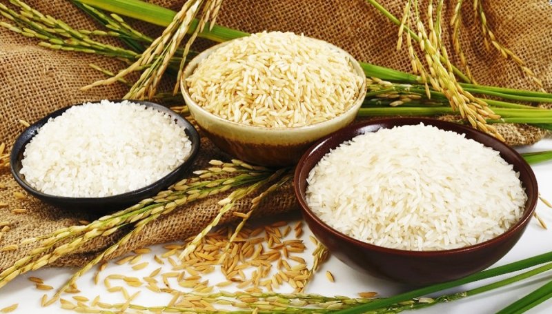 برنج هندی یا پاکستانی؟ کدامیک بهتر است؟