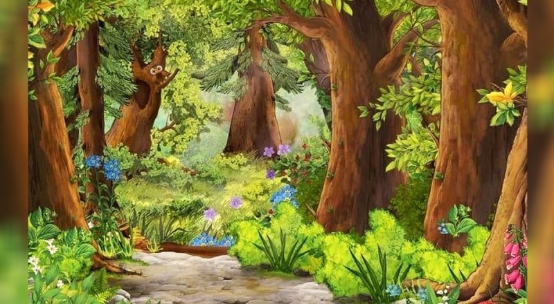 معما؛ تیزبین ها زیر 5 ثانیه جغد را در تصویر پیدا کنید؟