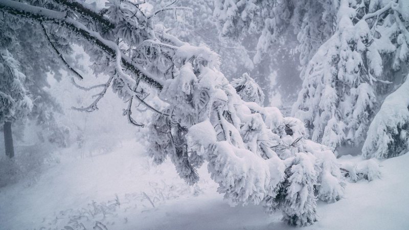 سردترین شهر ایران با دمای ۲۸.۶ درجه زیر صفر 
