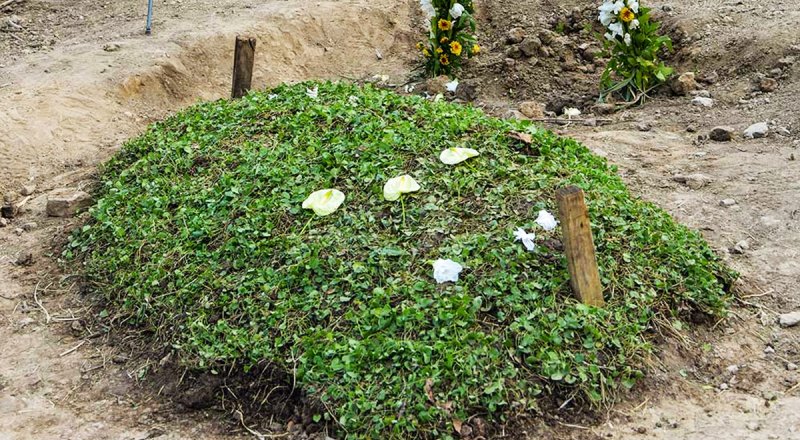 اولین مردی در ایران که سنگ قبر نداشت تا از خاکش سبزه بروید! + تصاویر