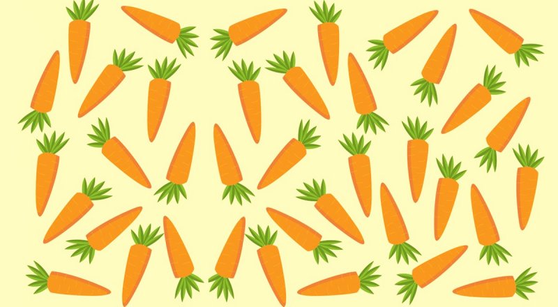 باهوش ها بگویید کدام هویج با بقیه فرق دارد؟ + پاسخ
