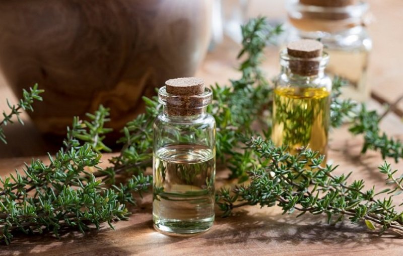 چه کسانی نباید آویشن مصرف کنند؟