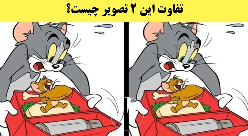 معما؛ تیزبین ها تفاوت این 2 تصویر را پیدا کنید؟ + پاسخ