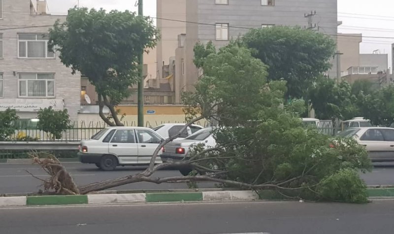 هشدار زرد هواشناسی درباره طوفان در تهران و ۷ استان دیگر