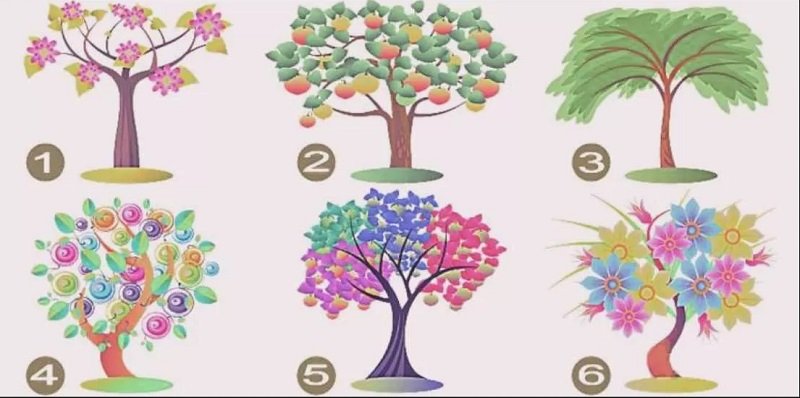  درختی که انتخاب می کنید ویژگی های شخصیتی شما را آشکار می کند