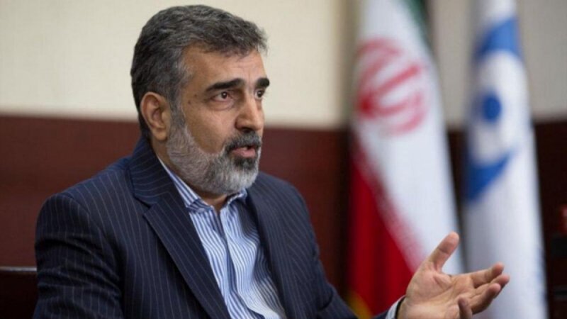 کمالوندی: گروسی در روز‌های آینده به تهران می‌آید