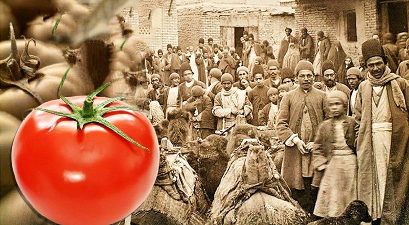 ایرانی‌ها نخستین بار اینجا گوجه فرنگی خوردند + تصاویر
