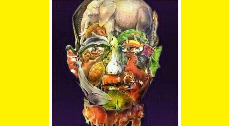 کسانی که در این تصویر عکس شتر را می بینند آلزایمر نخواهند گرفت! + جواب