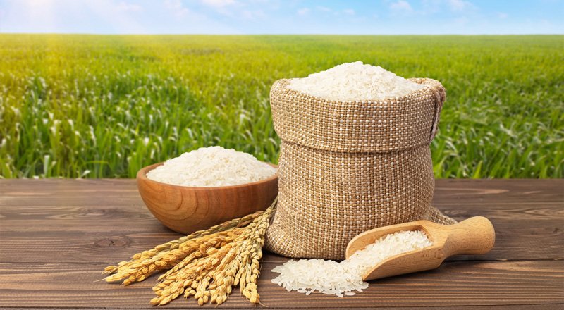 قیمت جدید انواع برنج ایرانی اعلام شد + جدول قیمت