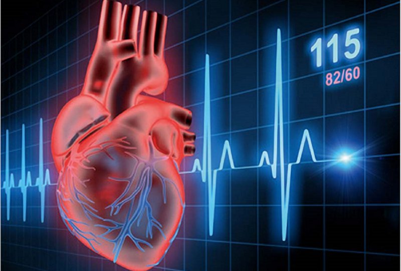 ۸ شاخص سلامت قلب که موجب افزایش طول عمر می شود