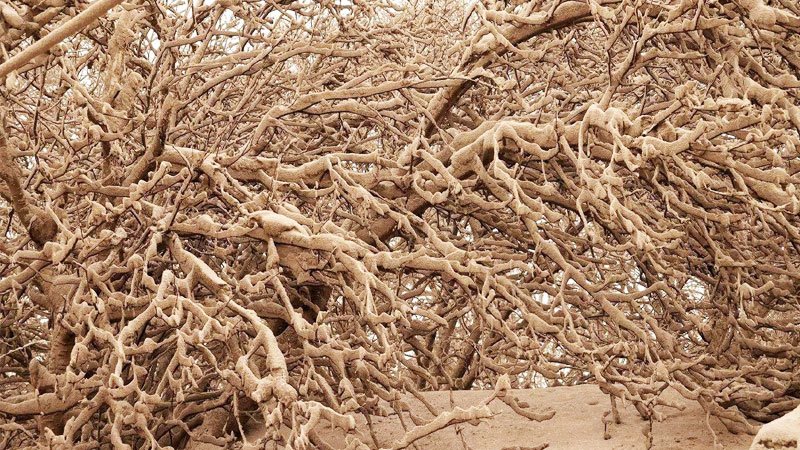 پدیده عجیب بارش خاکستر از آسمان روسیه! + تصاویر
