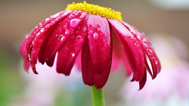 هشدار هواشناسی برای ۲۸ استان؛ بارش باران در راه است