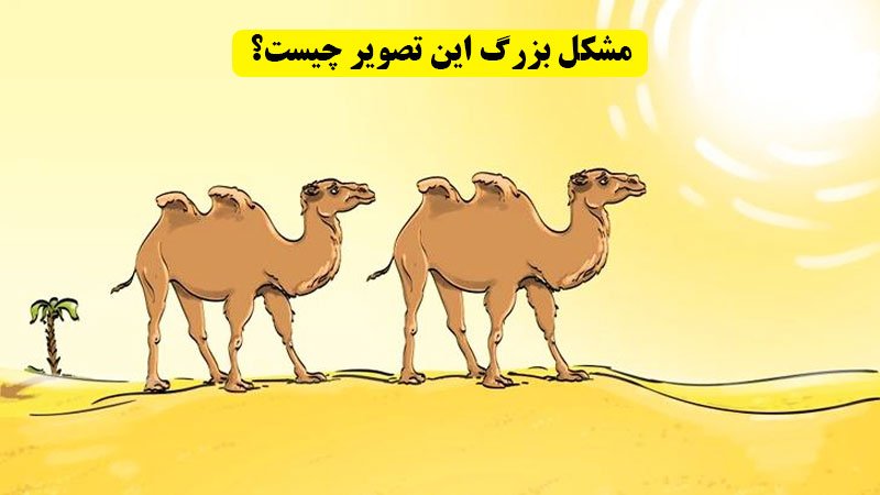 مشکل بزرگ این تصویر چیست؟ + پاسخ