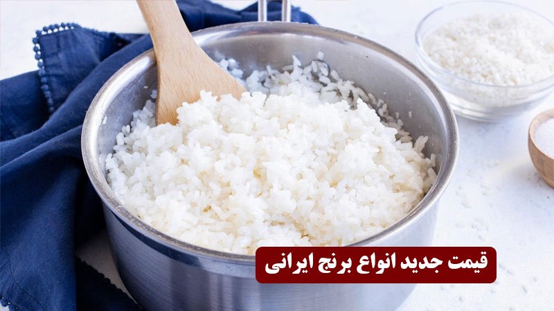 قیمت جدید برنج درجه یک ایرانی اعلام شد + جدول