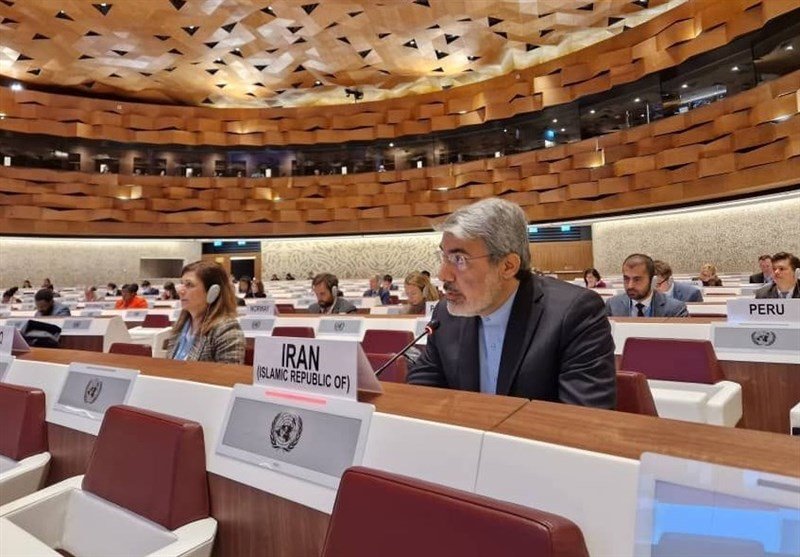 نماینده ایران به عنوان رئیس اجلاس مجمع اجتماعی شورای حقوق بشر انتخاب شد