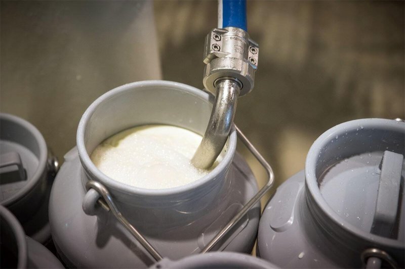 جزئیات افزایش قیمت شیر خام اعلام شد 
