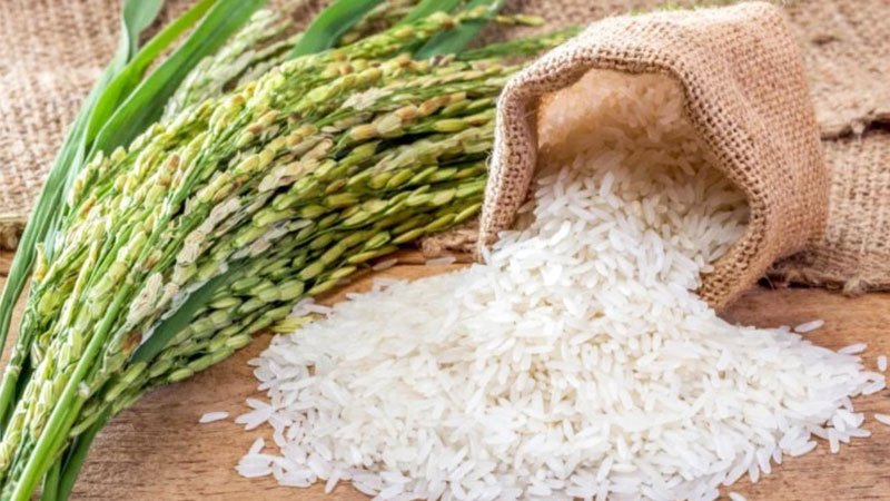 قیمت جدید انواع برنج ایرانی و خارجی اعلام شد + جدول