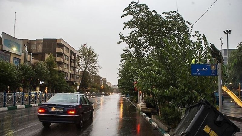  طوفان شدید باعث سقوط درختان در برخی مناطق تهران شد + ویدیو