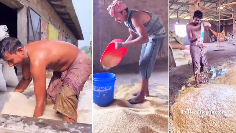 بعد از دیدن این کلیپ دیگر لب به برنج هندی نمی زنید + ویدیو