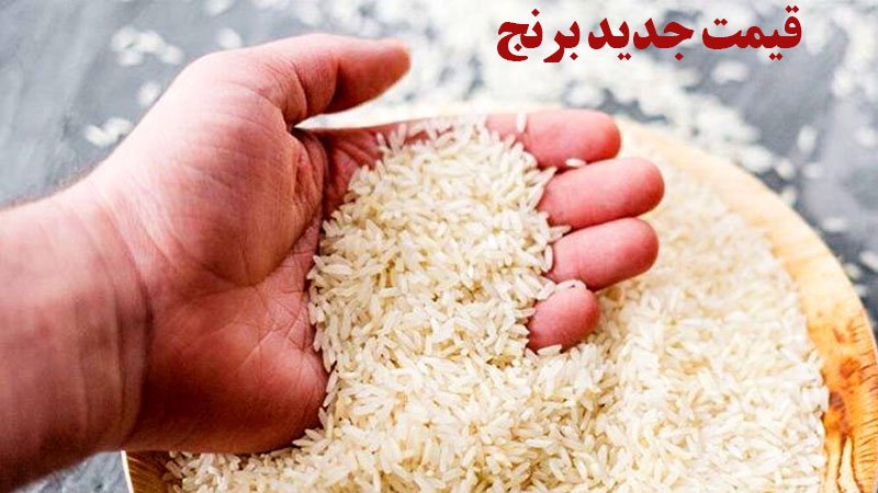 قیمت برنج ایرانی کاهش یافت + قیمت جدید